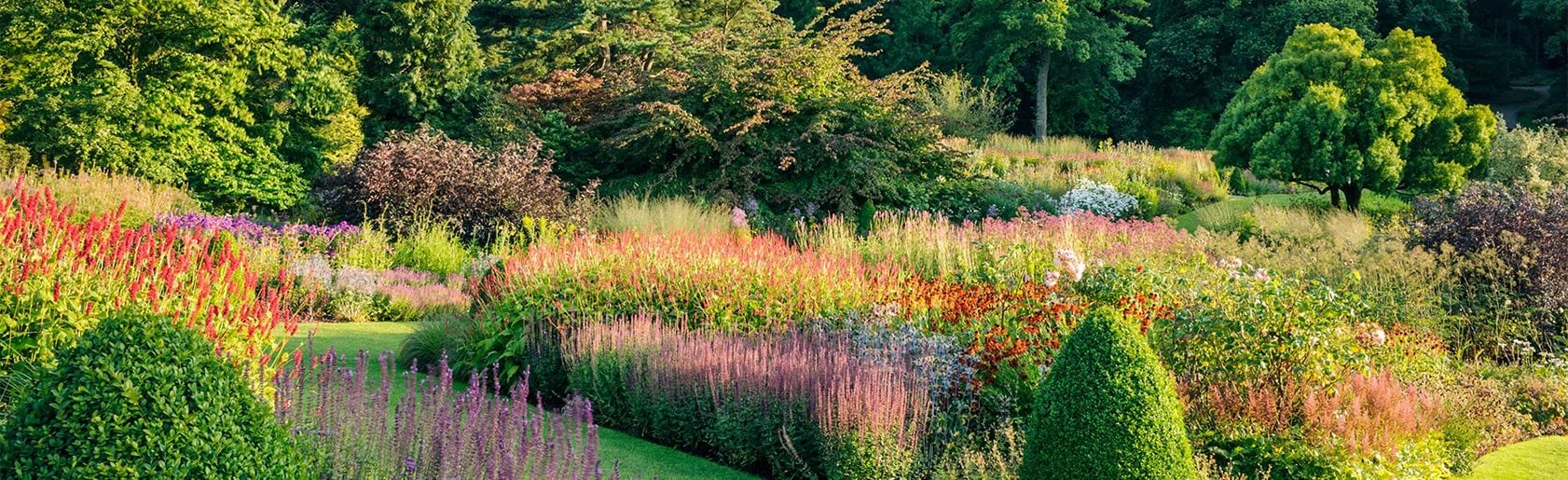 photograph of the garden