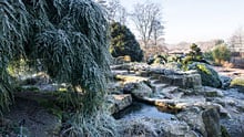 Visit Wisley in winter