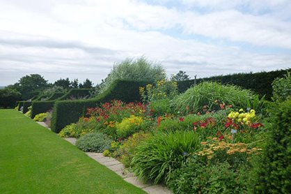 Yew-flanked borders at Hyde Hall