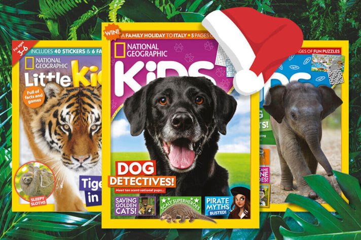 National Geographic Kids magazines