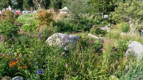 The garden aims to inspire visitors to reconnect with nature and make their own spaces more wildlife-friendly.