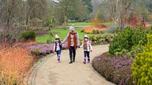 Visit Harlow Carr in winter