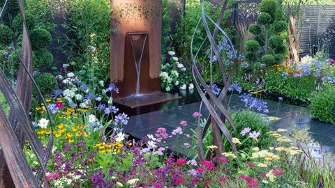 Japanese influence is evident in the garden with the 'Niwaki' 'cloud' pruned conifers, color clashing perennials and backdrop of bamboo