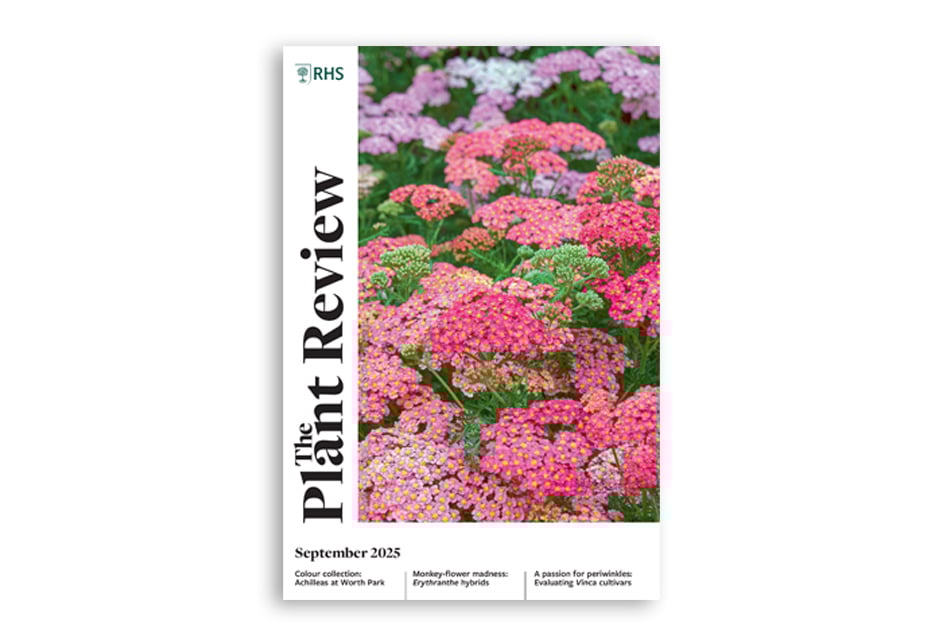Discover the many facets and uses of&nbsp;Achillea, a striking group of garden plants. Share in a passion for&nbsp;Vinca&nbsp;(periwinkles) and explore some stand-out favourites. Take a deep dive into &lsquo;monkey flower madness&rsquo; with a closer look at&nbsp;Erythranthe&nbsp;hybrids. Track down the remarkable foliage shrub&nbsp;Stachyurus&nbsp;&ndash; a plant whose flowers hang by a thread. Uncover what it takes to digitise specimens from the RHS Herbarium, making them accessible through the RHS Digital Collections.