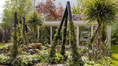Cordyline, hostas and architectural grasses provide contrasting forms and colour beneath the interlocking triangles, which dominate the garden, overlooked by a glass-fronted artist’s studio