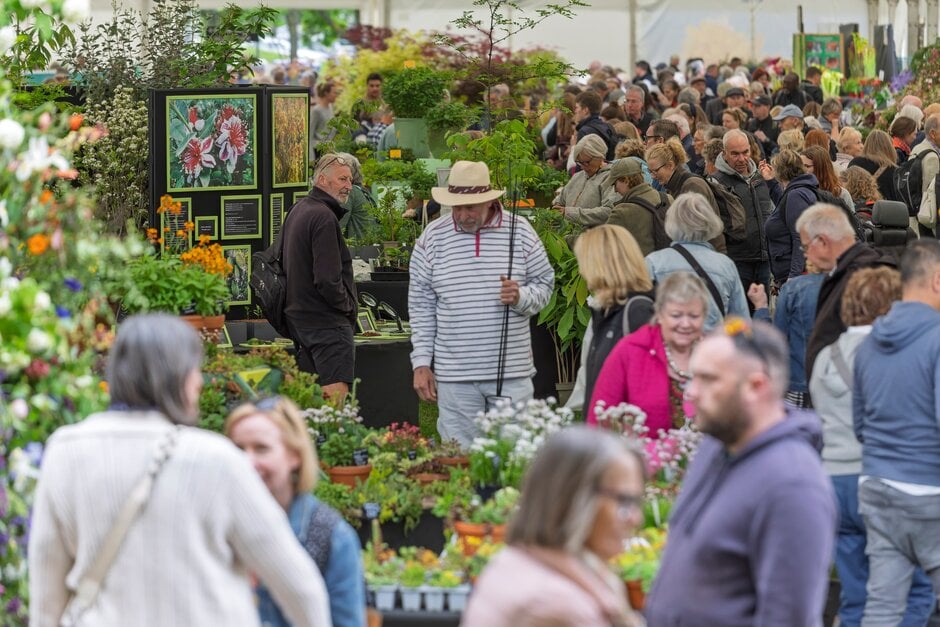 Shopping Plant village