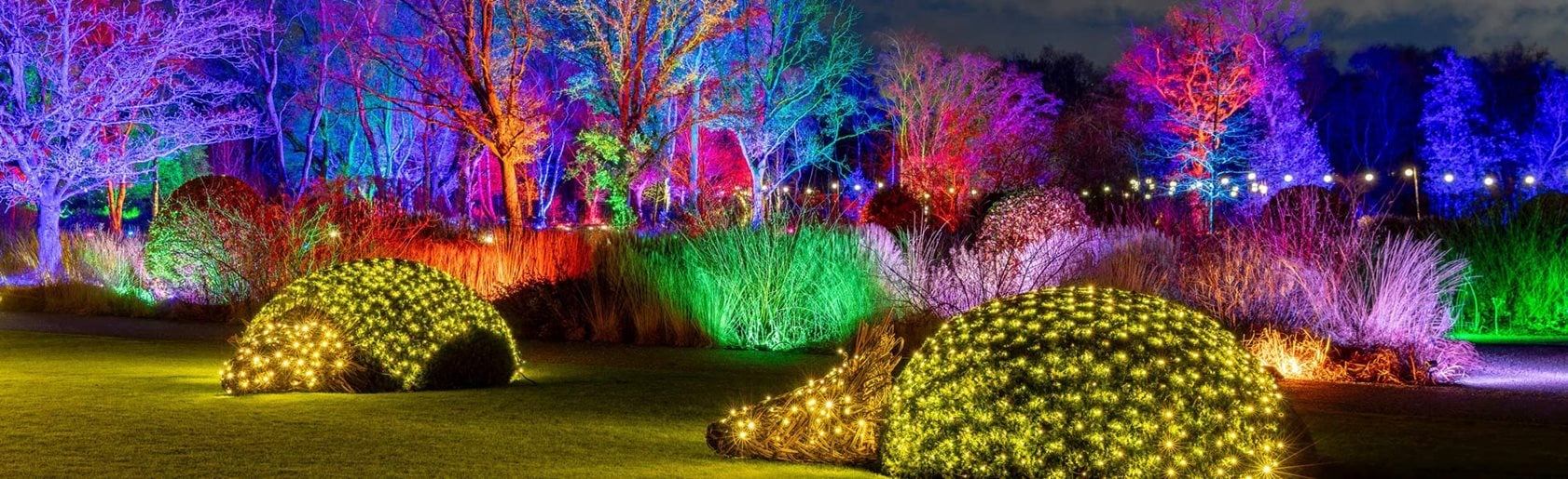 photograph of the garden