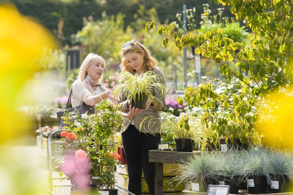 Select your plants carefully to ensure you get good value for money