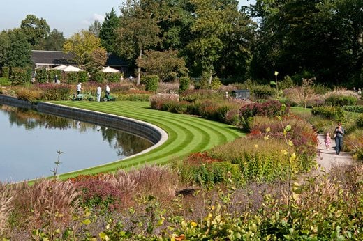 The Glasshouse landscape