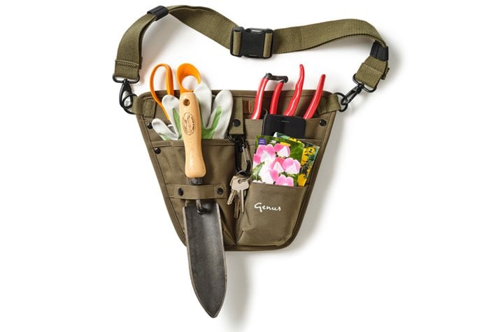 Genus holster Genus holster