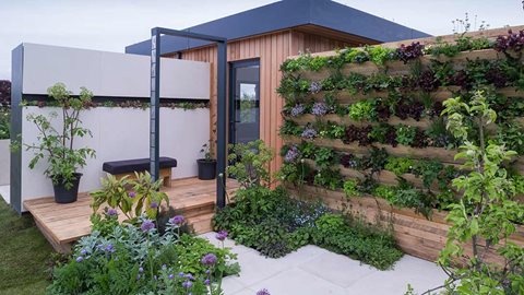 Angelica and alliums add height to intricate plantings of herbs, vegetables and flowers