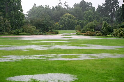 Grass can die if the soil is waterlogged for long periods