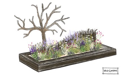 The Habitat Garden