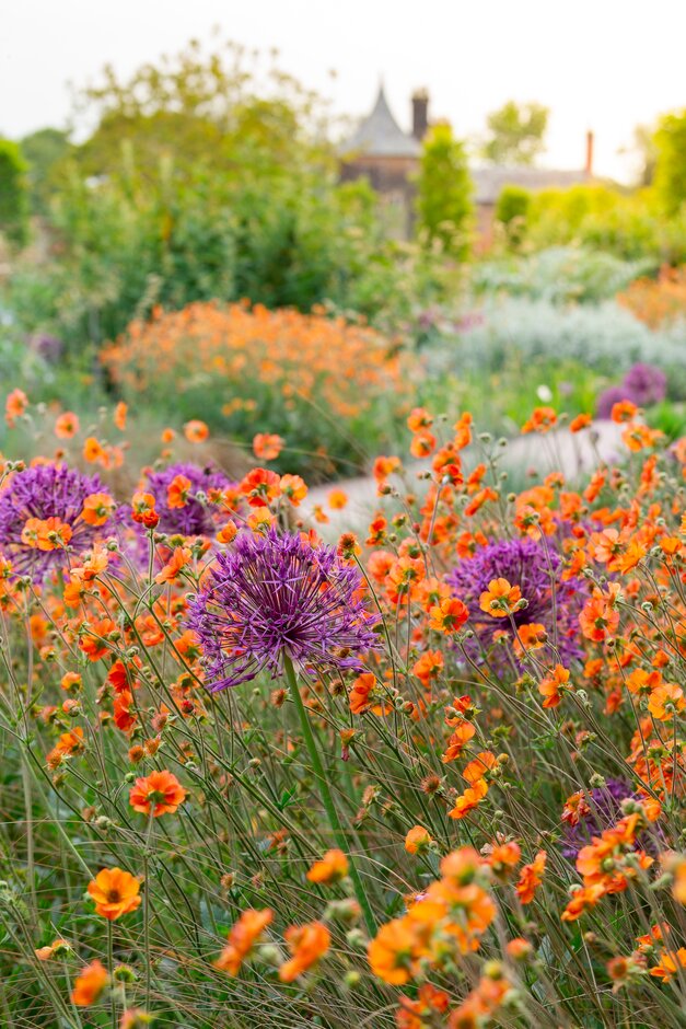 Shop online for plants, gifts, books buy gardening gifts / RHS