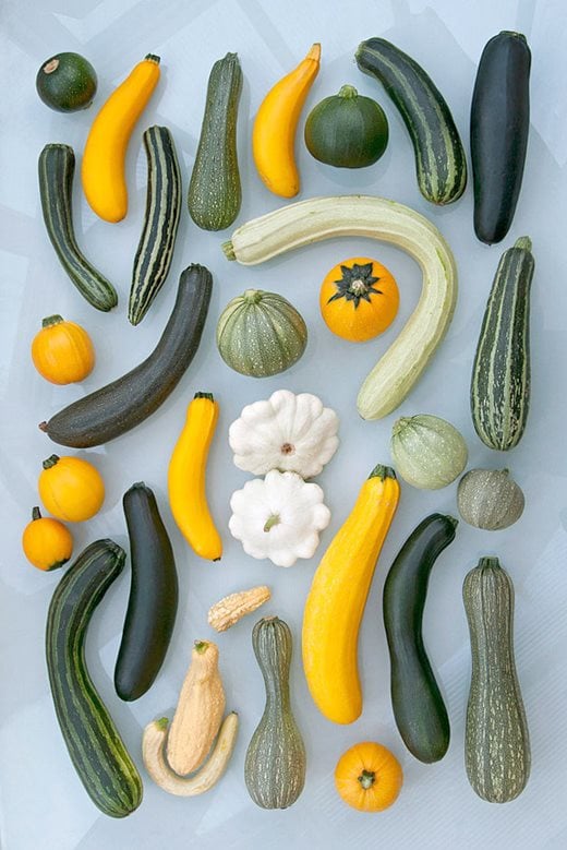 Fascinating facts and figures: courgettes (RHS Grow Your Own) / RHS  Gardening