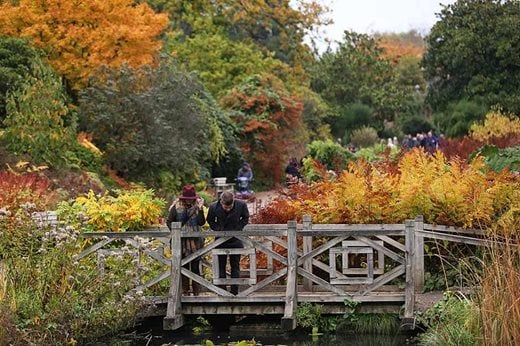 Couple at Wisley in autumn