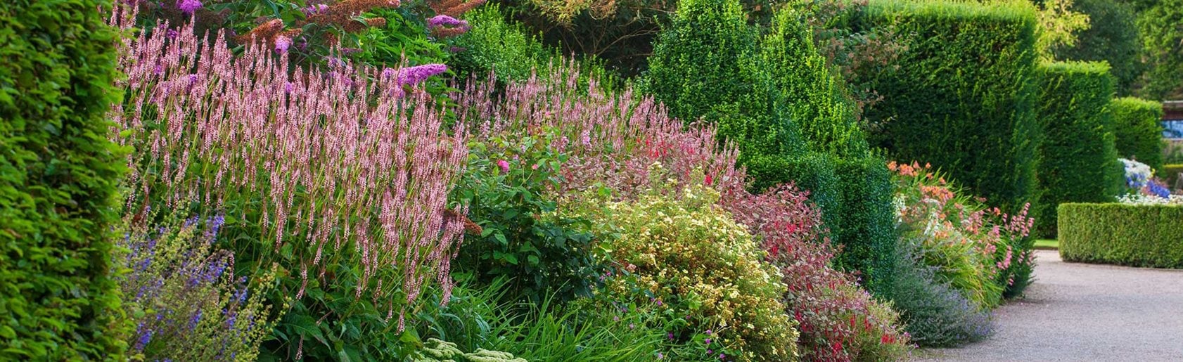 photograph of the garden