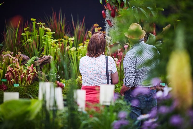 Visitors browse plants in Floral Marquee