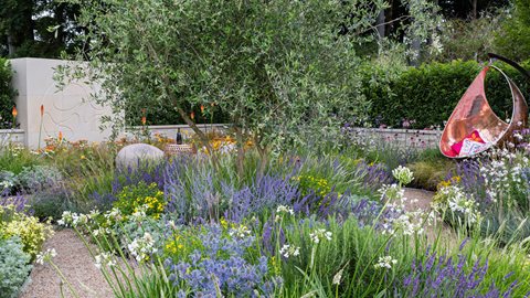 The garden, planted with a Mediterranean theme, has been designed to raise awareness of Xylella and the threat it poses to many of our much-loved plants