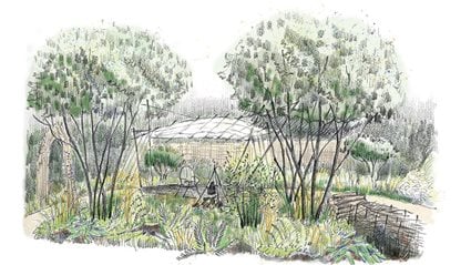 Ruskin Mill Trust – Artisan Woodland Craft Garden