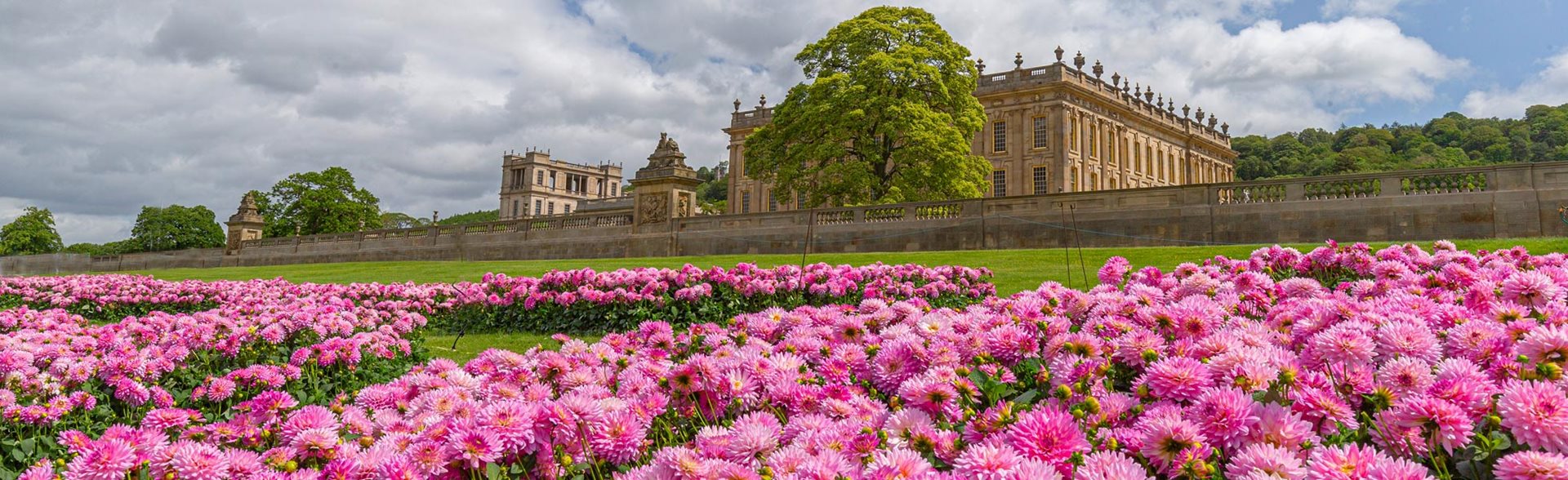 Rhs Inspiring Everyone To Grow Rhs Gardening