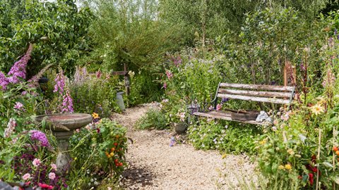 This space is packed with ideas to re-wild your garden and encourages us all to open up our garden boundaries and start conversations with our neighbours about caring for wildlife