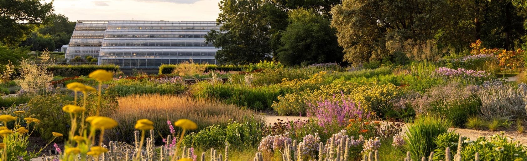 photograph of the garden
