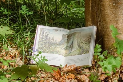 brambly hedge book