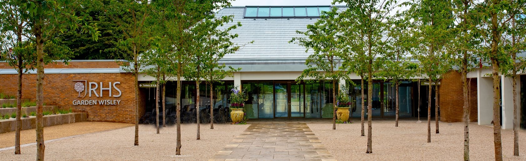 photograph of the garden