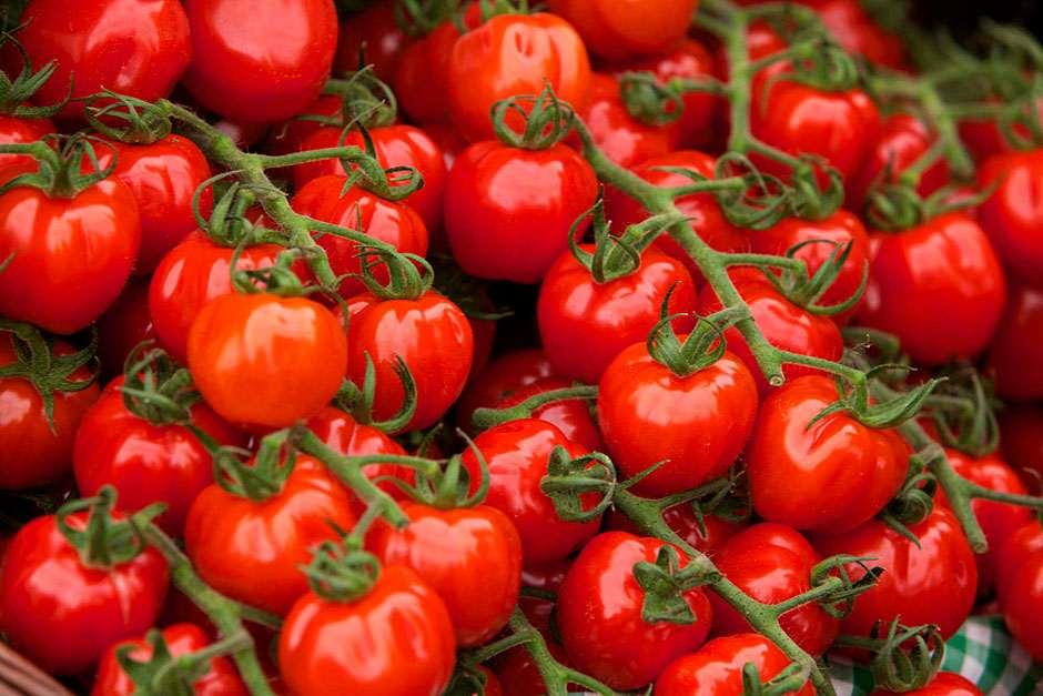 How to grow Tomatoes