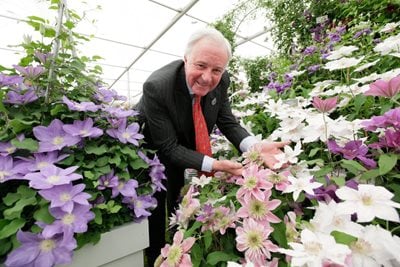 Raymond Evison with a display of clematis at RHS Chelsea