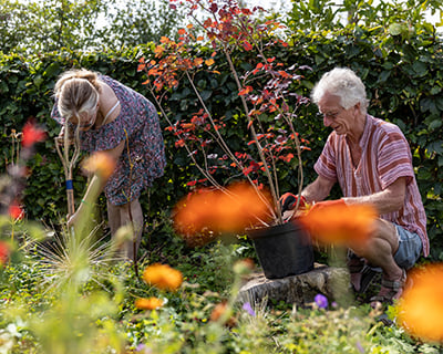 Creating a dementia-friendly garden