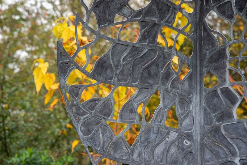 RHS Hyde Hall Winter Garden sculpture and autumn colour