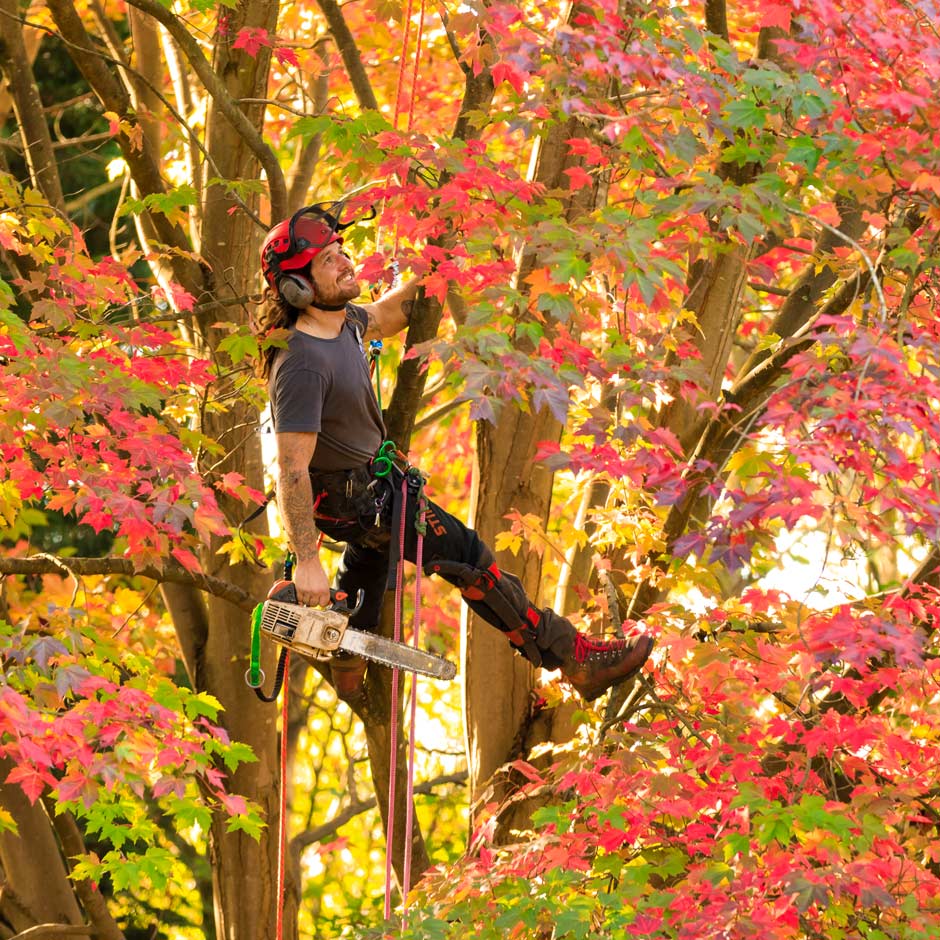 It is important to hire qualified contractors.