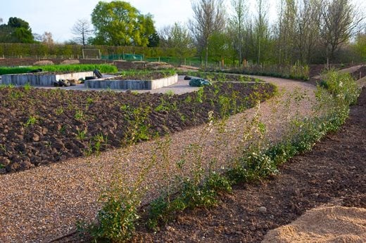 Planted borders following the curved path