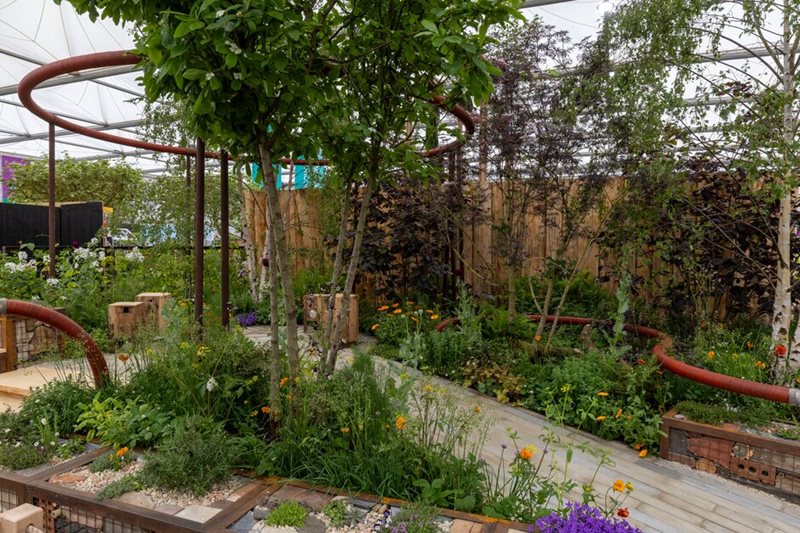 The Pulp Friction: Growing Skills Garden