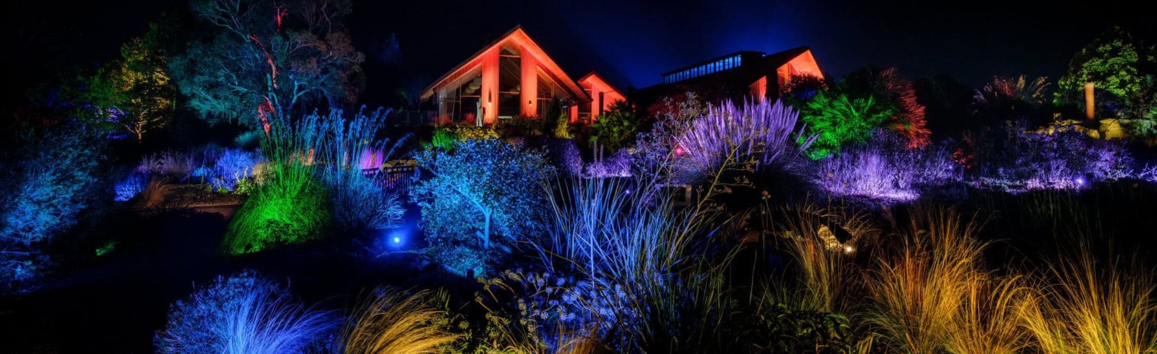 photograph of the garden