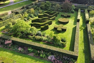 Topiary at Scampston estate