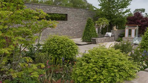 Yew tree pillars, domes of <em>Euonymus alatus</em>, white spires of foxgloves and small-leaved lilac help frame the hard landscaping area