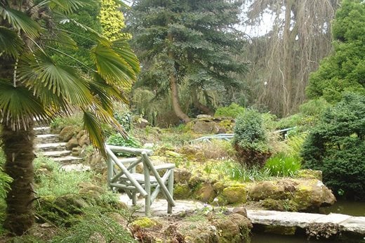 The rock and water garden, Compton Acres