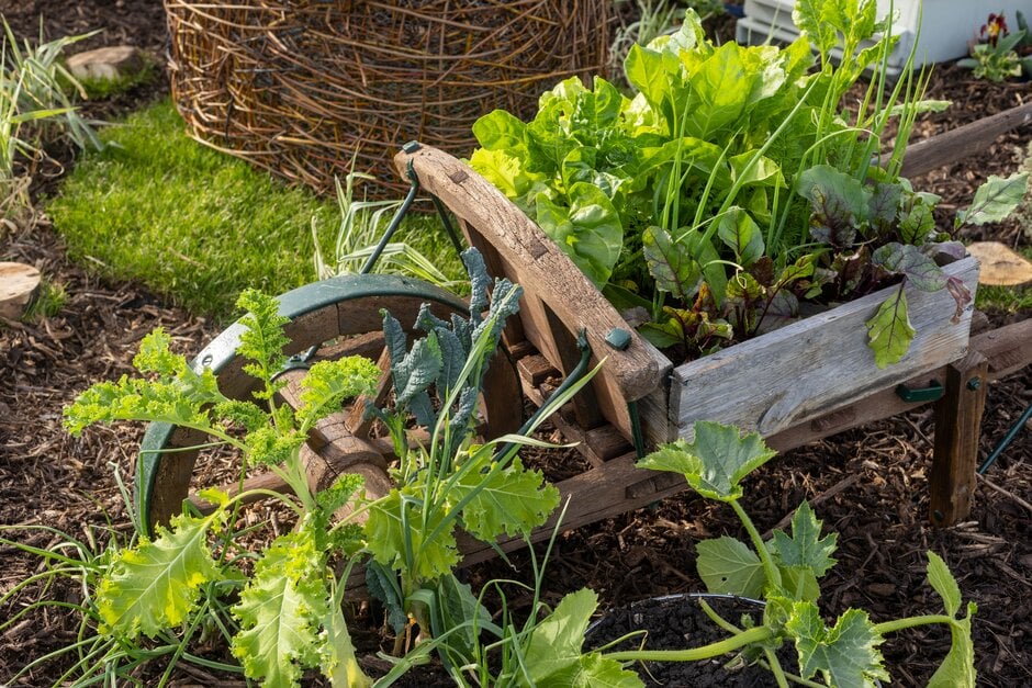 school gardening challenge
