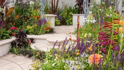 Garden Design Planning Your Garden Rhs Gardening