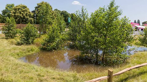 Longer grass on the hills will slow water transit more than heavily grazed grassland and will also tolerate temporary submersion under water.