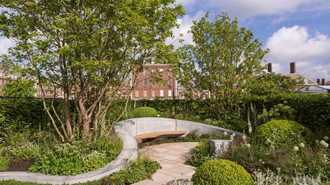A muted colour palette and woodland-style planting allow you the focus on the sensory aspect of this garden