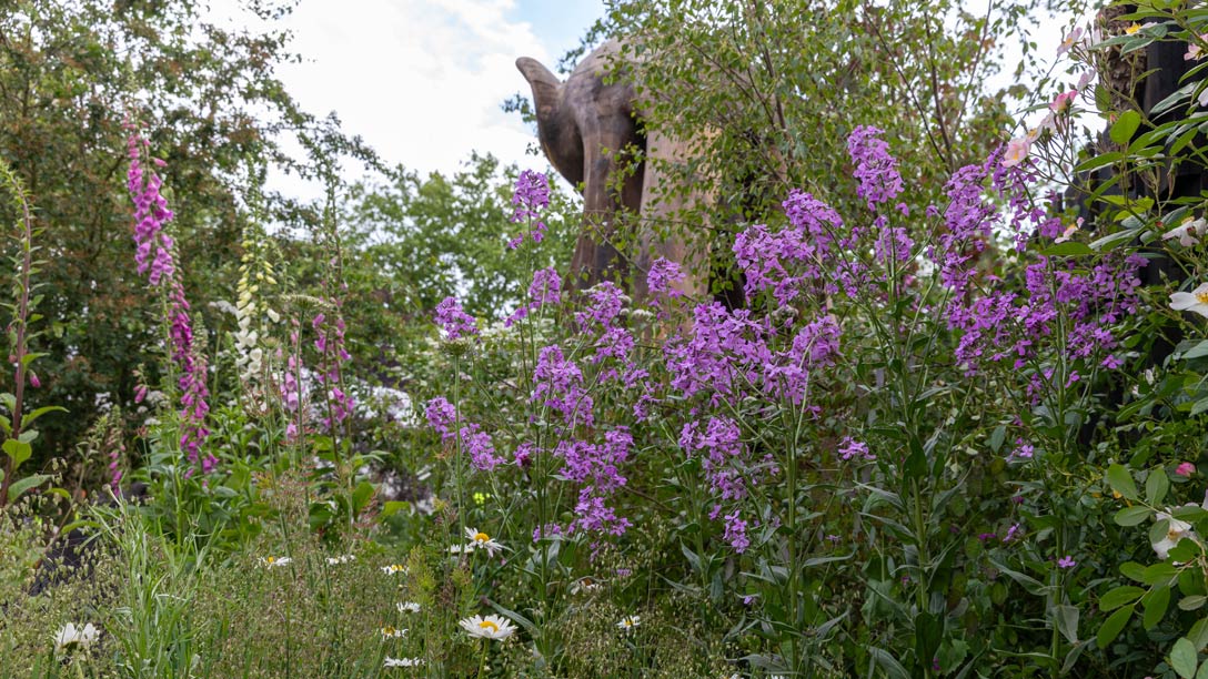 The Bat Conservation Trust’s Nocturnal Garden