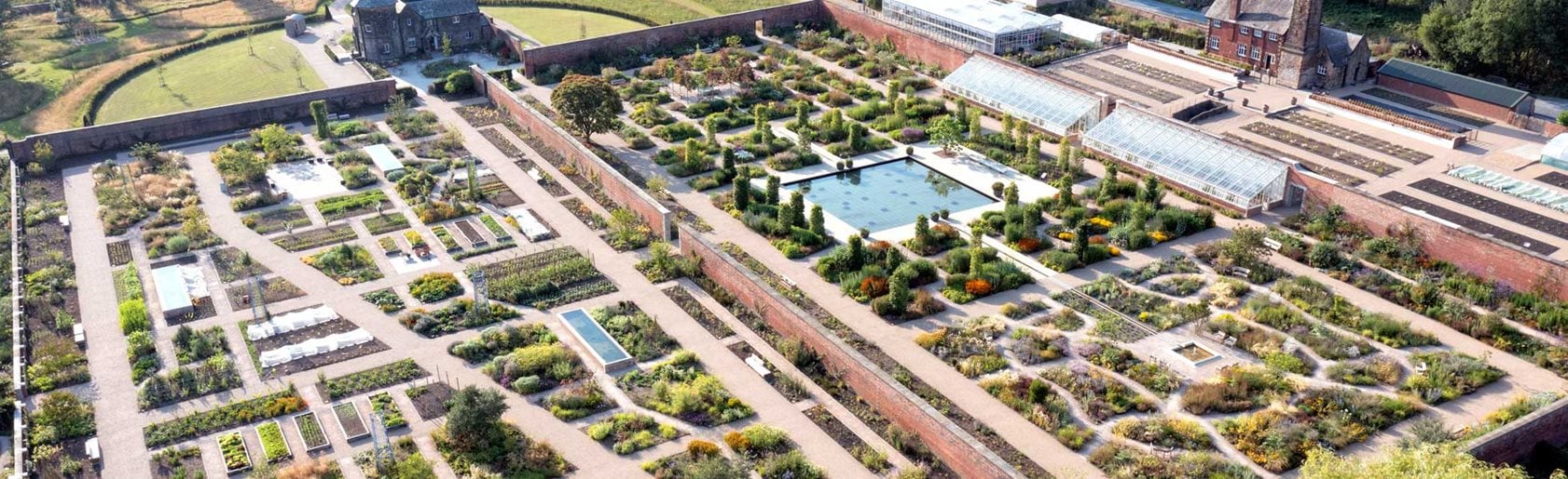 photograph of the garden