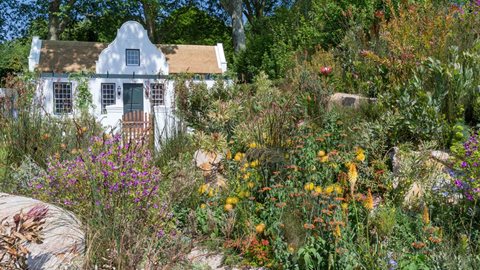 Divided into three, this garden cleverly represents the winelands of South Africa, going from wild landscape to cultivated garden outside a Cape Dutch homestead.