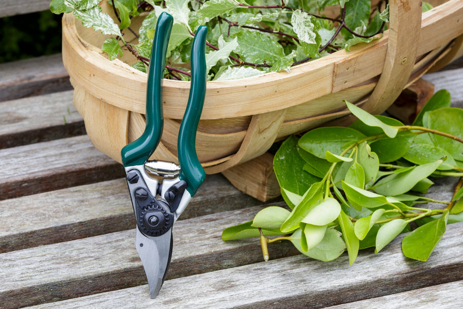 Burgon & Ball compact shear