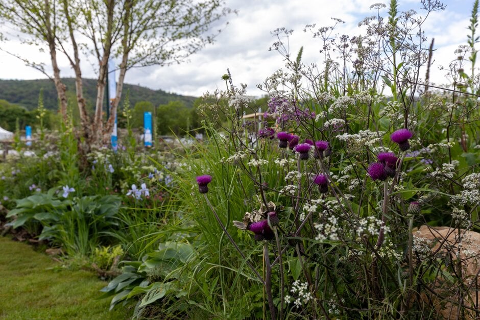 malvern blooming border