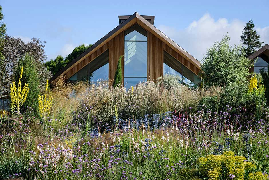 A modern, glass fronted-building overlooks a landscape of dry, desert plants